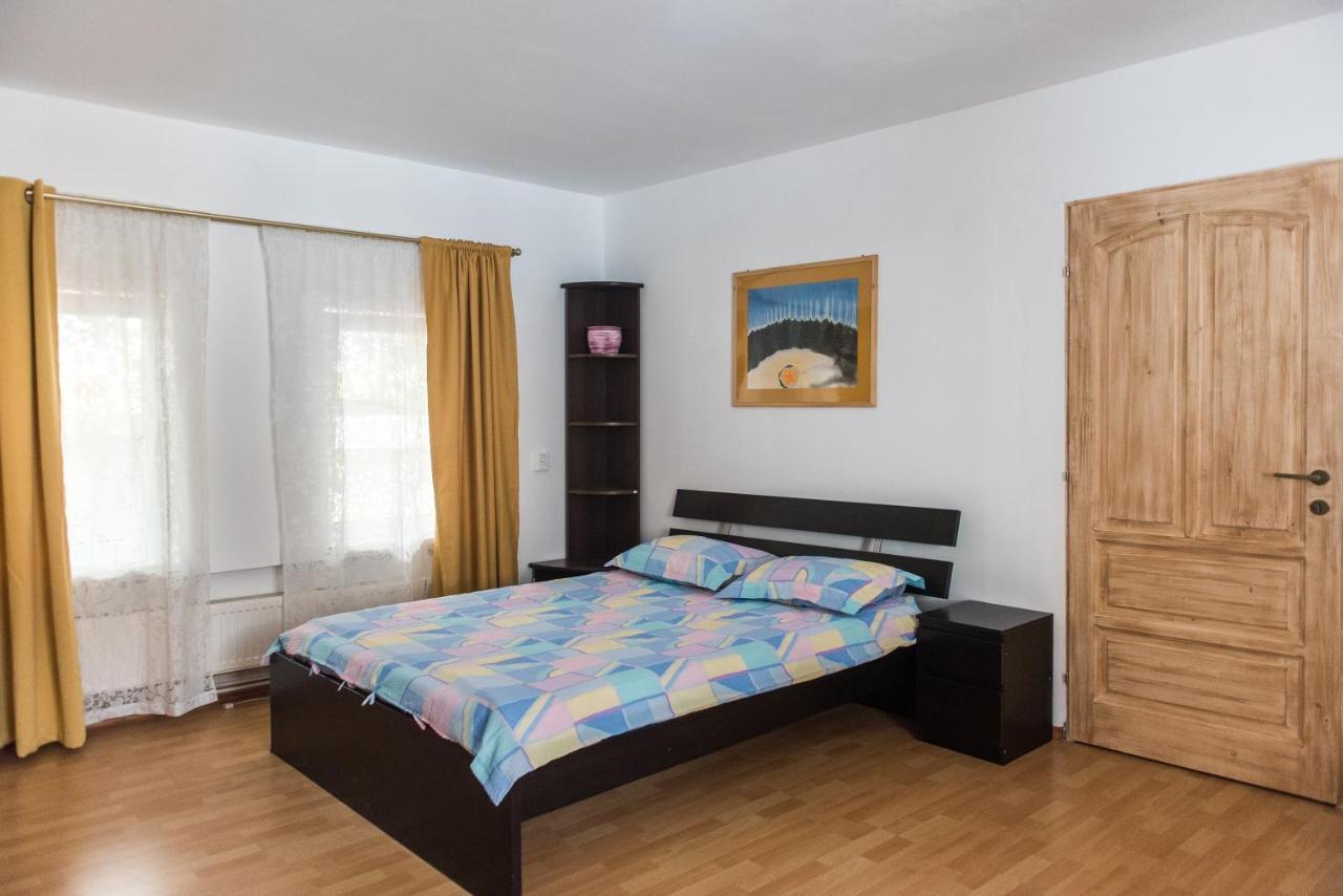 Transylvania Guest House Brasov Exterior photo
